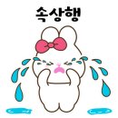 에메트에스테틱