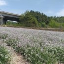 유가약선 이미지