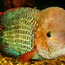 봉곡동191 이미지