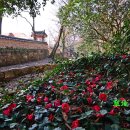 기를품은 이미지