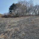 조은터부동산중개사무소 이미지