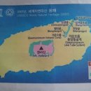 제주 여행 3일째! 이미지