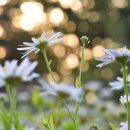 귀가歸家의 여정 “나는 어느 시점時點에 위치해 있는가?” 이미지