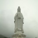 비밀의 사원 이미지