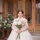 세진토탈크리닝 | 완도결혼식하객한복 주체 불가 끌림 감성