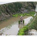삼천포건어물 네이버블로그