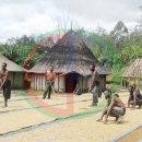 주식회사 뉴하이랜드 이미지