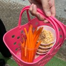 한우사육사 | 여수 아이와 가볼만한 곳 한우드림 동물체험장 커플 후기