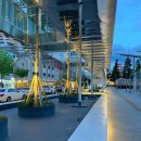 ACC 산책 이미지