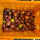 장성마을농장 이미지