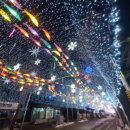 강원나물밥 채원 이미지