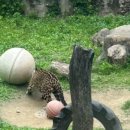 집사의 하루 건대점 이미지