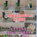 원예심리상담사 이미지