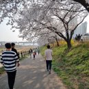 향남2교 - 314 | 향남2교