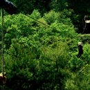 문경짚라인 이미지