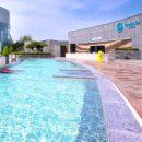 파라다이스스파도고 이미지