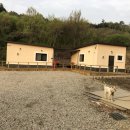 산마늘이사는펜션 이미지