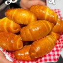 비비당 이미지