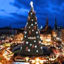 송정동-12 이미지