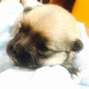 RR-49[일로로]-하-12 | 2026년 2월 일상