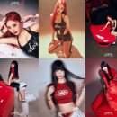 수진스포츠 이미지