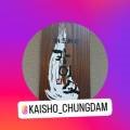카이쇼(kaisho)
