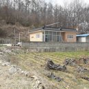 신니면사무소 이미지