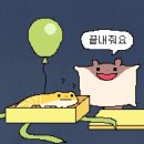 강호돈