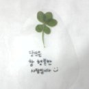 네바퀴로여는세상