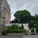 정발장군 동상 | 부산<2>: 문화공감수정, 정발장군동상(항일거리) / 카페 [공간]