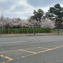버그헌터119 파주센터
