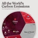 전 세계의 국가별 탄소 배출량 시각화 이미지