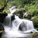 다래펜션 이미지