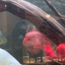 석현리 | 광주 근교 드라이브 + 육아템 카페 : 담양 더하루 솔직 후기