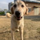 오늘도 즐겁개 이미지