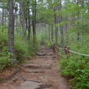 남태령옛길 이미지