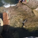 쌍용폭포민박 이미지