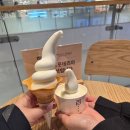 백미당롯데 - 강남구 도곡로 401 | 부산 서면 <백미당 롯데백화점 서면점>과 <공차 서면점> 방문후기(내돈내산, feat. 15년된 내친구랑)