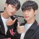 하니즈 Daum카페