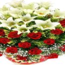 2009-주022 이미지