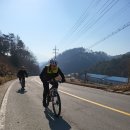 세고개로 Daum카페