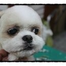 GROOMING107 이미지