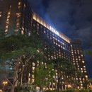 미스티2019(misty2019) | 힐튼호텔 와인행사, 프리미엄 뉴질랜드 와인 디스커버리 2022