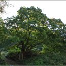 인제자연학교 캠핑장 이미지