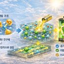 안경박사동일안경 이미지