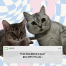 산내하이축산