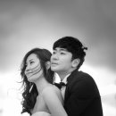 송용진 카카오 검색결과