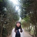 포레스트선흘 이미지