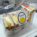 [분당/수내] 일본 편의점에서 먹던 그 맛! 돌고래시장 타마고산도상점 방문 솔직후기💕