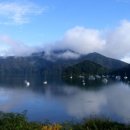 NZ자전거여행 남섬 물개들의 천국 이미지